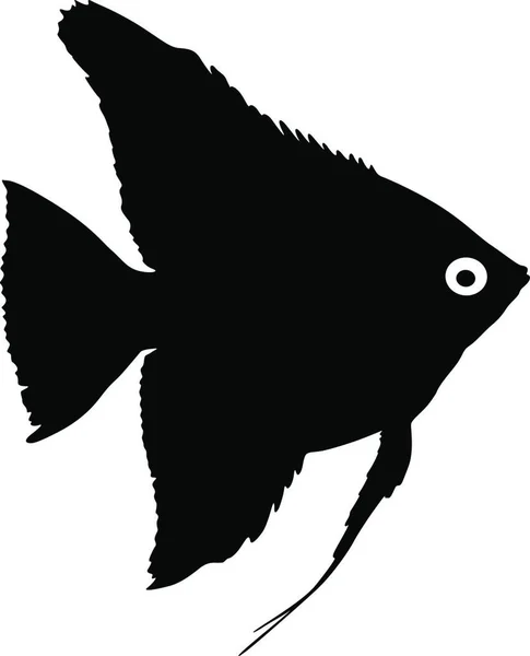 Zwart Silhouet Van Aquariumvissen Witte Ondergrond Zwart Silhouet Van Aquariumvissen — Stockvector