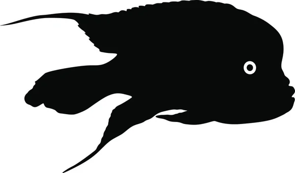 Zwart Silhouet Van Aquariumvissen Witte Ondergrond Zwart Silhouet Van Aquariumvissen — Stockvector