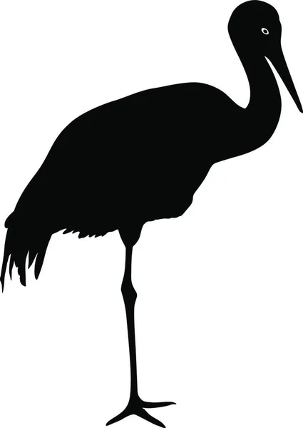 Silhouet Vogel Kraan Een Witte Achtergrond Silhouet Vogel Kraan Een — Stockvector