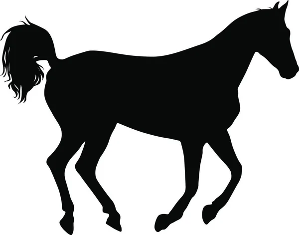Siyah Mustang Çiziminin Hayvan Silueti Siyah Mustang Çiziminin Hayvan Silueti — Stok Vektör