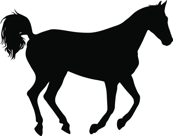 Tiersilhouette Eines Schwarzen Mustangpferdes Tierische Silhouette Des Schwarzen Mustang Pferd — Stockvektor