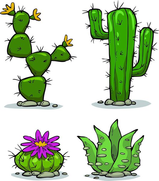 Colección Cactus Sobre Fondo Blanco Ilustración Vectorial — Vector de stock
