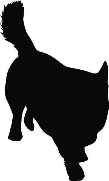 Welsh Corgi Hundesilhouette Auf Weißem Hintergrund Welsh Corgi Hund Silhouette — Stockvektor
