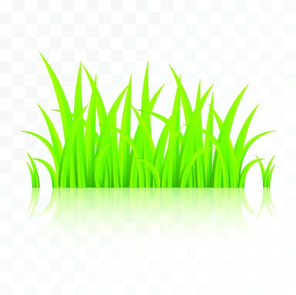 Ajuste Aislado Sobre Fondo Transparente Hierba Verde Con Reflexión Aislada — Vector de stock