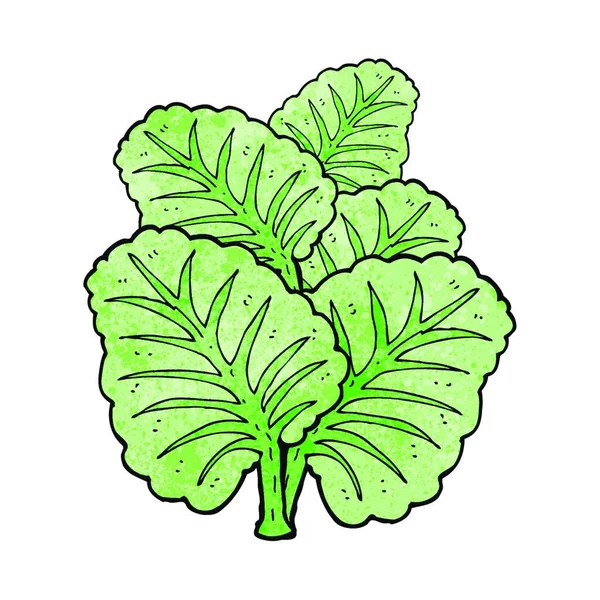 Φύλλα Λάχανου Κινουμένων Σχεδίων Απεικόνιση Λευκό Φόντο — Διανυσματικό Αρχείο