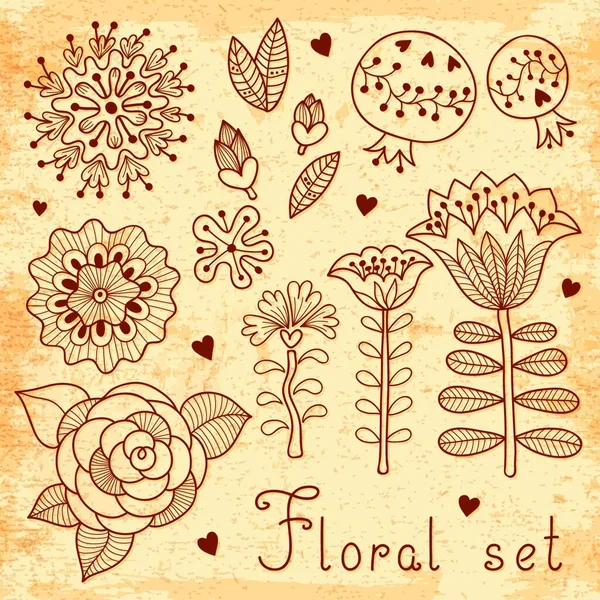 Ensemble Éléments Floraux Isolés Pour Votre Design Illustration Vectorielle — Image vectorielle