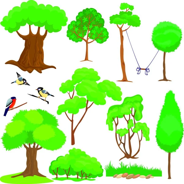 Набір Дерев Кущів Птахів Ізольовано Білому Тлі — стоковий вектор