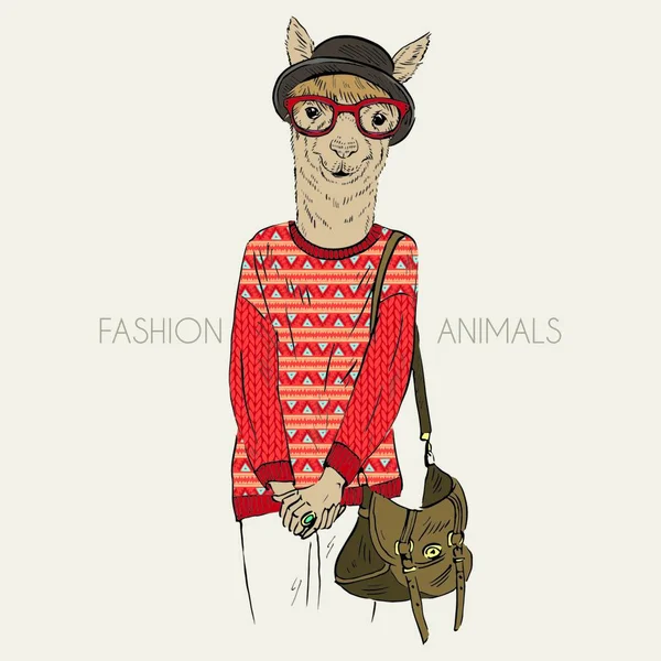 Ilustração Desenhada Mão Alpaca Vestida Com Pulôver Jacquard —  Vetores de Stock