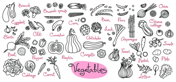 Ορισμός Σχέδια Των Λαχανικών Για Σχεδιασμό Μενού Συνταγές Και Πακέτα — Διανυσματικό Αρχείο