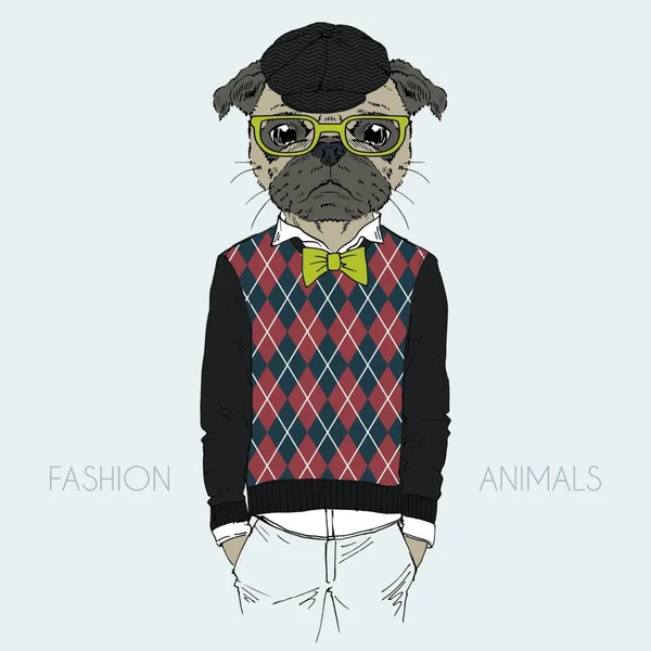 Ilustração Vestida Pug Cachorrinho Estilo Hipster —  Vetores de Stock