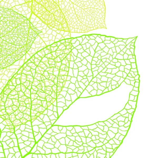 Feuilles Vert Frais Fond Illustration Vectorielle Feuilles Vert Frais Fond — Image vectorielle