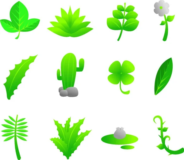 Set Vector Icons Plants Plant — Stock Vector