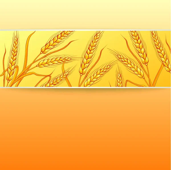 Oreilles Seigle Sur Fond Orange Illustration Vectorielle — Image vectorielle