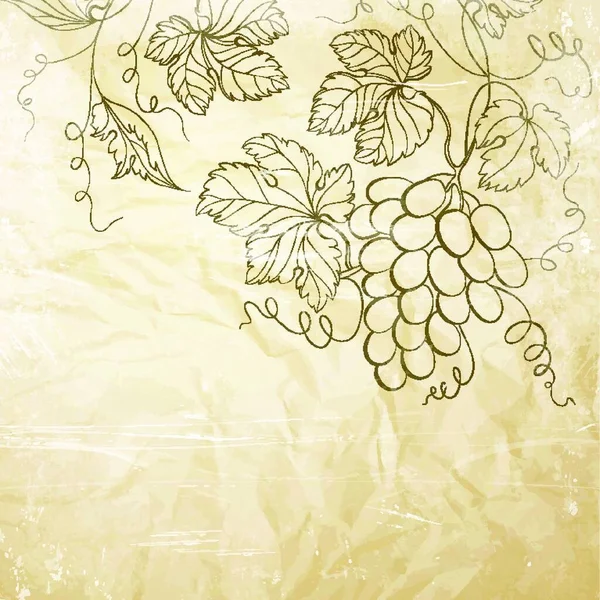 茶色いしわのある紙にブドウ ベクターイラスト — ストックベクタ