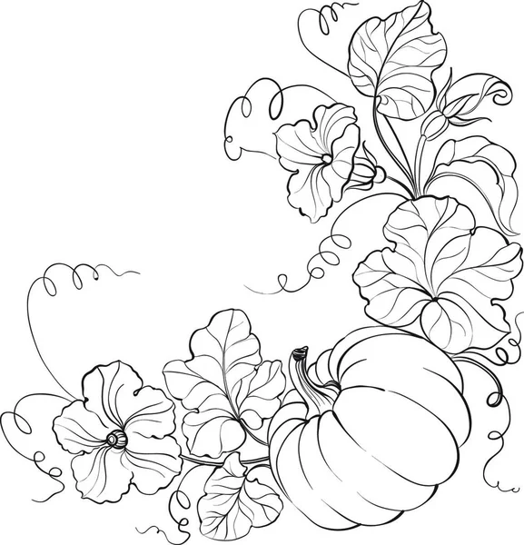 Légume Citrouille Avec Des Feuilles Isolées Sur Fond Blanc Illustration — Image vectorielle