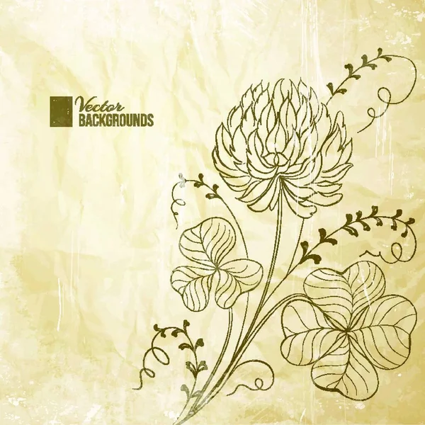 Fleurs Trèfle Isolées Sur Fond Blanc Illustration Vectorielle — Image vectorielle