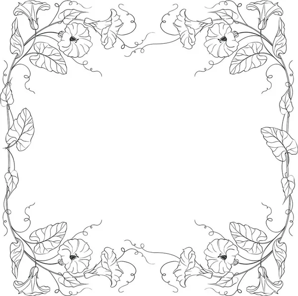 Fleurs Cadre Bindweed Illustration Vectorielle — Image vectorielle
