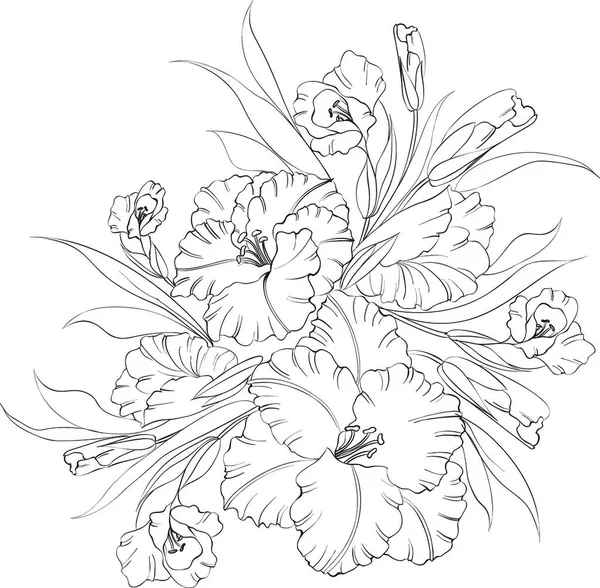 白い背景に孤立した菖蒲の花 ベクターイラスト — ストックベクタ