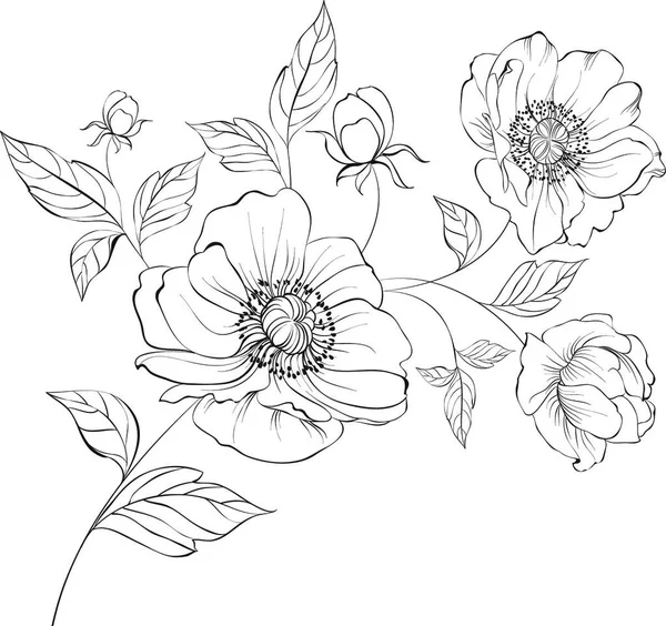 Fleur Pavot Rouge Isolée Sur Fond Blanc Illustration Vectorielle — Image vectorielle