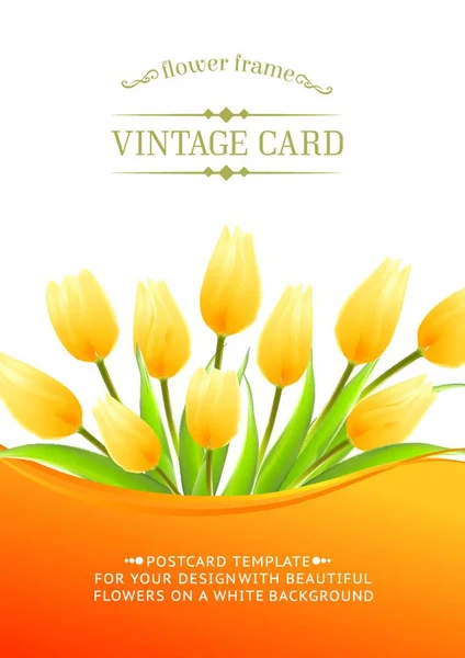 Ramo Flores Primavera Tulipán Amarillo Para Diseño Ilustración Vectorial — Vector de stock
