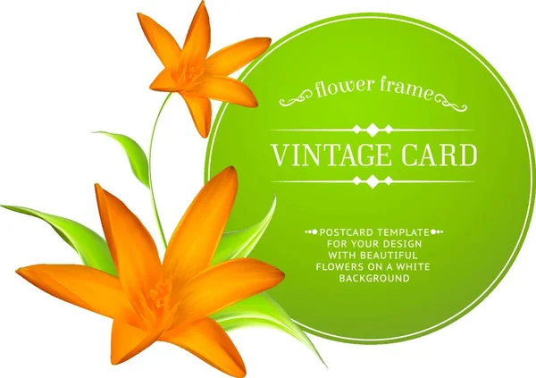 Crocus Spring Flowers Bouquet Your Card Design Vector Illustration — Stock Vector