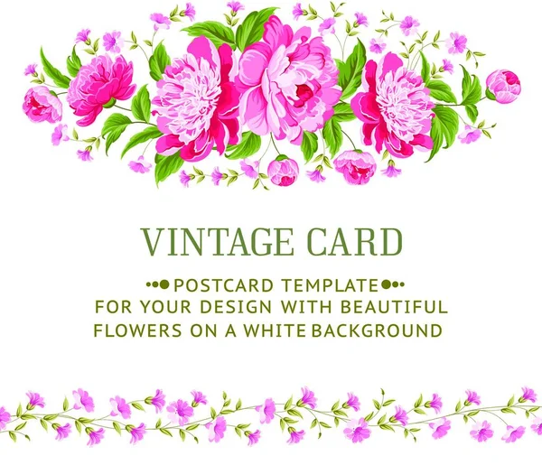 Luxurious Vintage Frame Color Peony Label Vector Illustration — Stock Vector