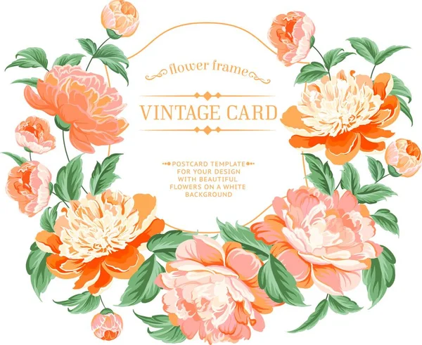 Luxurious Vintage Frame Color Peony Label Vector Illustration — Stock Vector