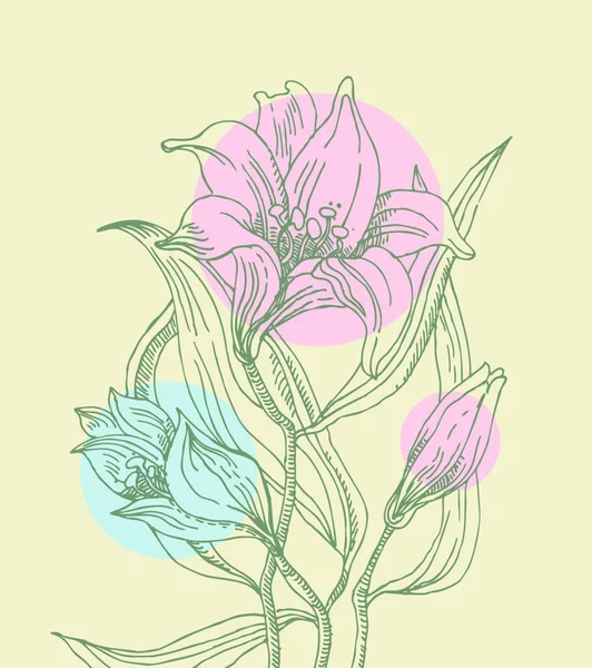 Fondo Floral Con Lirios — Vector de stock