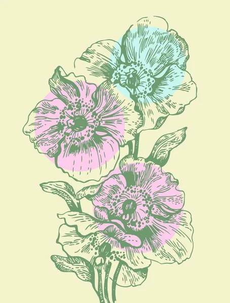 Fondo Floral Con Amapolas — Vector de stock