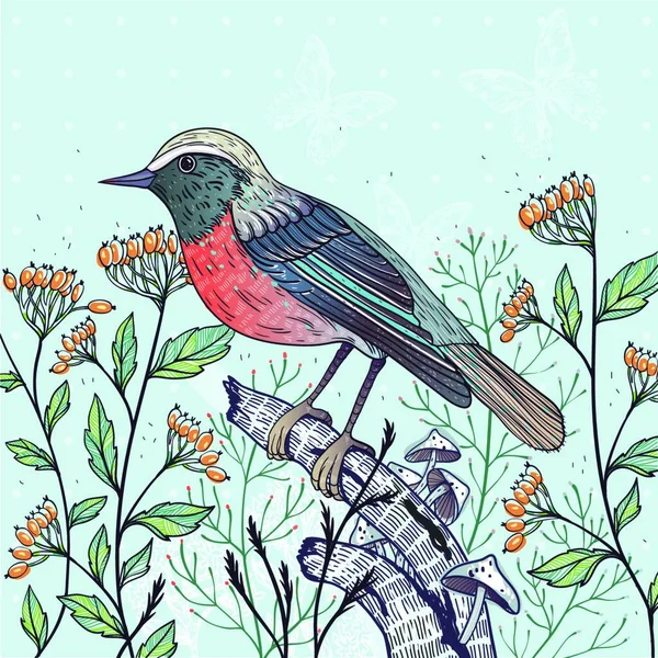 Illustrazione Floreale Vettoriale Uccello Bacche — Vettoriale Stock