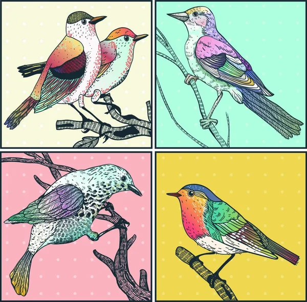 Vetor Conjunto Cartas Desenhadas Mão Com Pássaros Selvagens Coloridos — Vetor de Stock