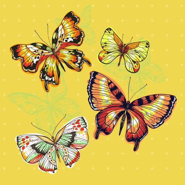 Vector Illustration Hand Drawn Colored Butterflies — Stock Vector