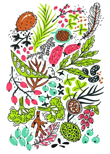 Vetor Mão Desenhado Ilustração Vegetais Coloridos Plantas Bagas — Vetor de Stock