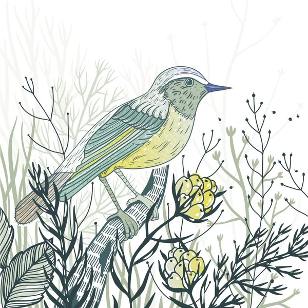 关于野生鸟类和植物的矢量手绘图解 — 图库矢量图片