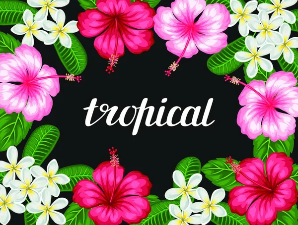 Pozadí Tropickými Květy Ibišek Plumerie Obrázek Pro Pozvánky Dovolenou Blahopřání — Stockový vektor