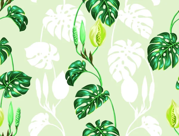 Padrão Sem Costura Com Folhas Monstera Imagem Decorativa Folhagem Tropical —  Vetores de Stock