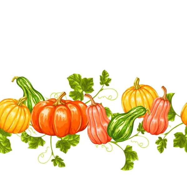 Confine Senza Cuciture Con Zucche Ornamento Decorativo Verdure Foglie Confine — Vettoriale Stock