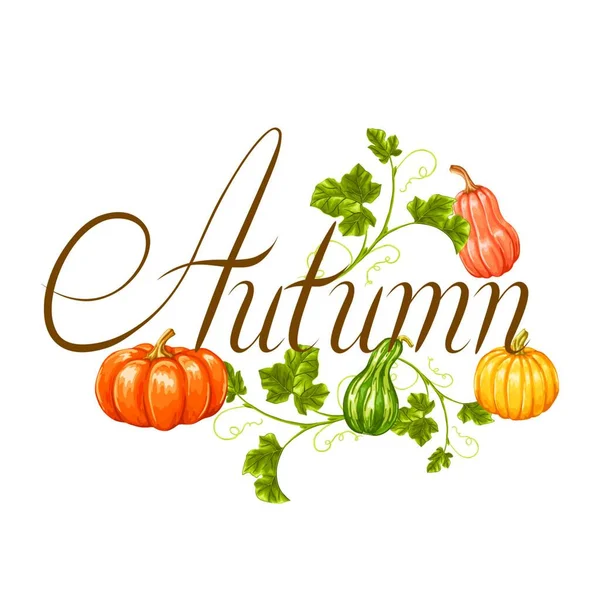 Herfst Achtergrond Met Pompoenen Decoratieve Illustratie Van Groenten Bladeren Herfst — Stockvector