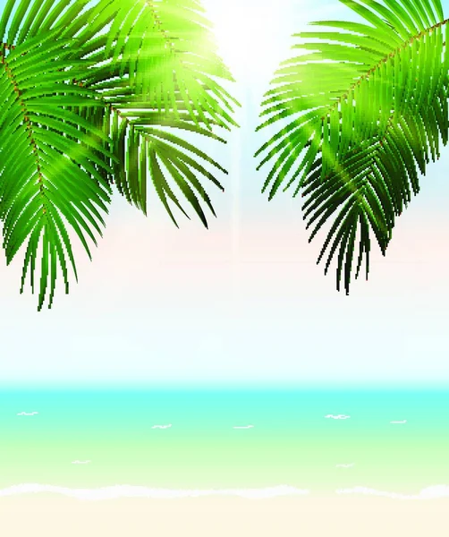 Hora Verão Palm Leaf Vector Fundo Ilustração Eps10 —  Vetores de Stock