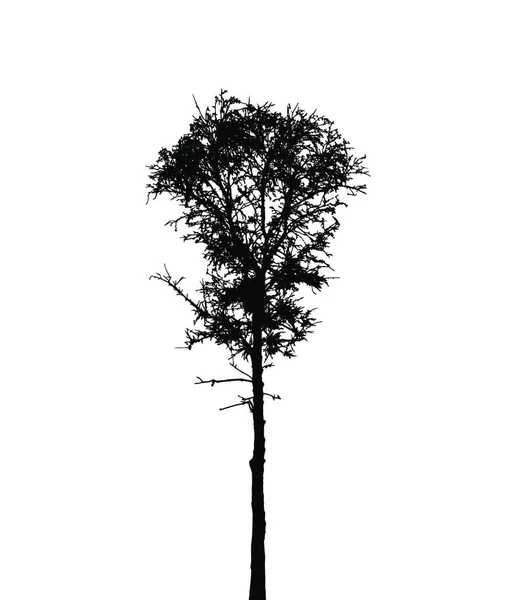 Silhouette Dell Albero Isolato White Backgorund Illustrazione Del Vettore Eps10 — Vettoriale Stock