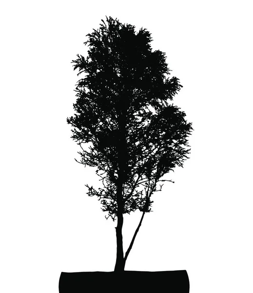White Backgorund Ağaç Silueti Izole Edilmiş Vektör Llüstrasyonu Eps10 — Stok Vektör