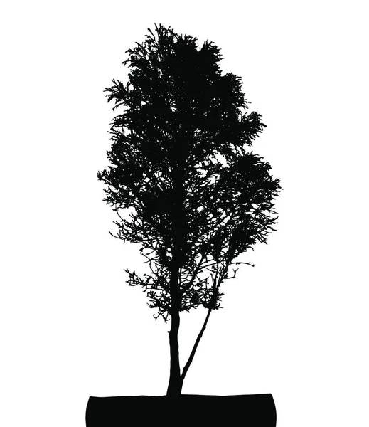 Silhouette Arbre Isolée Sur Fond Blanc Illustration Vectorielle Pse10 — Image vectorielle