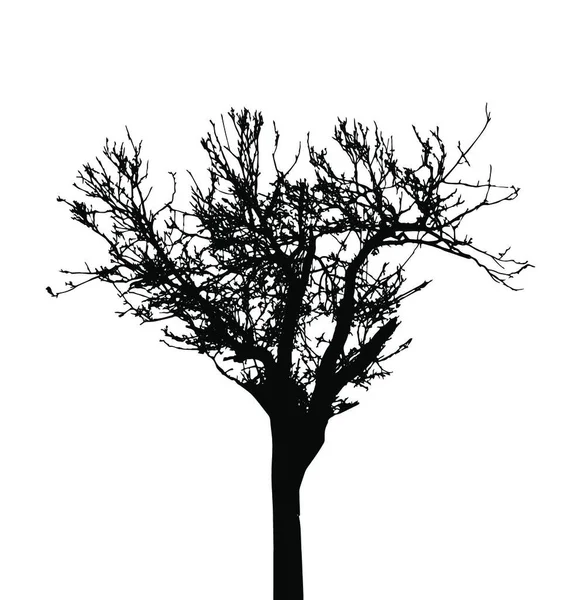 Silhouette Dell Albero Isolato White Backgorund Illustrazione Del Vettore Eps10 — Vettoriale Stock