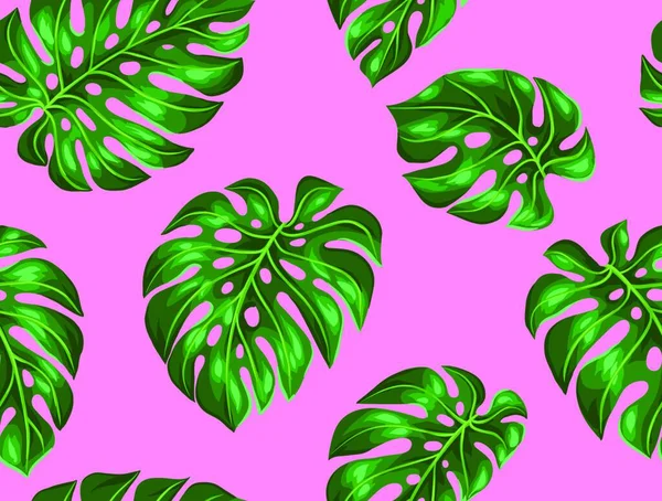 Seamless Pattern Monstera Leaves Decorative Image Tropical Foliage Seamless Pattern — Stock Vector