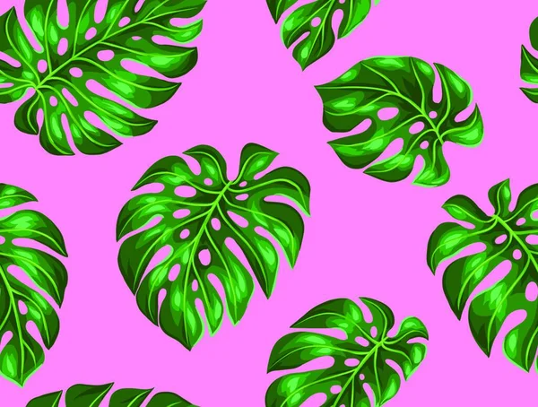 Modelo Sin Costuras Con Salidas Monstera Imagen Decorativa Del Follaje — Vector de stock