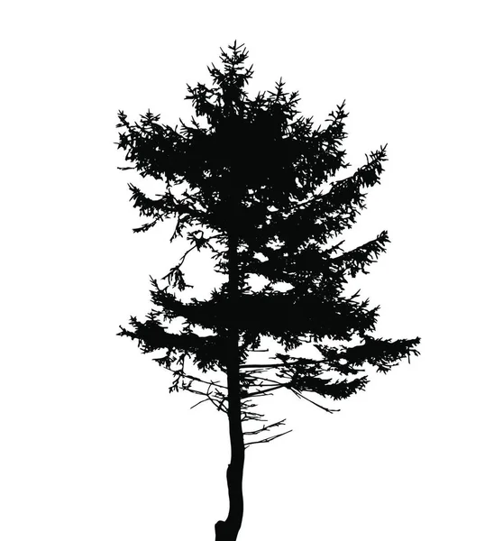 Silhouette Arbre Isolée Sur Fond Blanc Illustration Vectorielle Pse10 — Image vectorielle