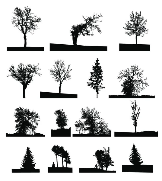 Set Von Baum Isoliert Auf Weißem Hintergrund Vektorillustration Eps10 — Stockvektor