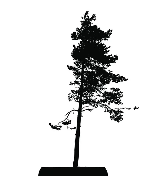 Tree Silhouette Izolovaná White Backgorundu Vektorová Ilustrace Eps10 — Stockový vektor