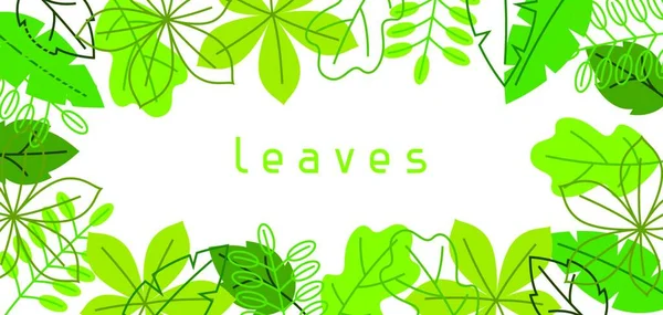 Naturbanner Mit Stilisierten Grünen Blättern Frühling Oder Sommer Laub Naturbanner — Stockvektor