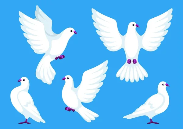 Set Five White Doves Beautiful Pigeons Faith Love Symbol Set — Stock Vector